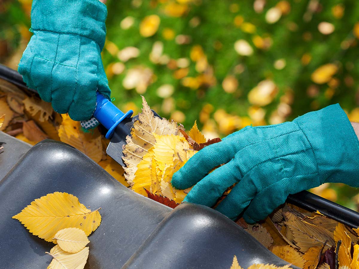  A person wearing turquoise gloves cleaning leaves from a gutter on a roof.